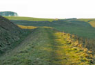 Wansdyke visit 2006