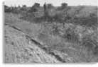 This image of Wansdyke north of New Farm, Compton Dando, was shot in 1956 on more or less the same spot.