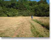 Wansdyke seen traversing the recently trimmed meadow.