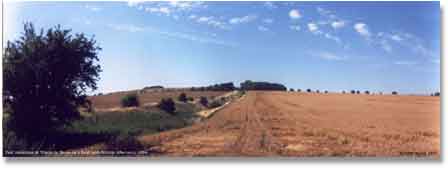 East Wansdyke at Sheperds' Shore, 1994.