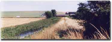 Waterlogged ditch of East Wansdyke, just west of the farm buildings of Shepherds' Shore