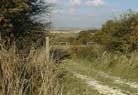 The Ridge way and Plains of Wiltshire.