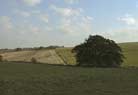 The field leading to Shaw Village.