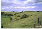 Maes Knoll-stood southeast of The Tump, 1996.