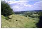 South approaches to Maes Knoll, 1996.