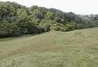 Leaving Breach Wood, looking back north