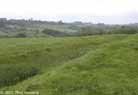 West Wansdyke at Englishcombe, looking northeast to Twerton, Soutdown and Rush Hill.