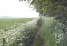 West Wansdyke at Cross Keys, looking west to Odd Down, 2003.