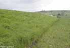 Wansdyke close to New Barn Farm, coming down from Maes Knoll and crossing Norton Lane.