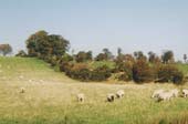 Offa's Dyke on high ground to the west of Oswestry, Shropshire.