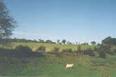 Offa's Dyke on high ground to the west of Oswestry, Shropshire.