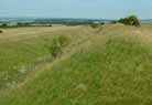 On Milk Hill, looking east.