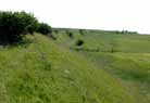 On Milk Hill, looking west. 