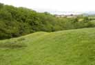 West wansdyke on rising ground south of Breach Wood, with the houses of Rush Hill beyond.