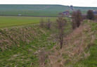 Wansdyke at Red Shore, between Knap Hill and All Cannings Down. 