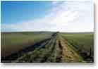 Looking east to Bishop's Cannings Down.