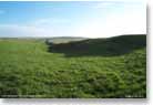 East Wansdyke, running straight to Tan Hill. 