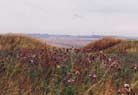 Wansdyke visit1996