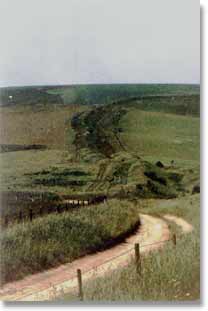 Wansdyke on Tan Hill, 1994