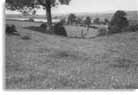 Wansdyke between Bathford Brook and Wansdyke House, 1956.