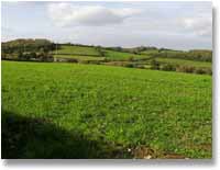 West Wansdyke north of Compton Dando, seen emerging from Peppershells Wood.